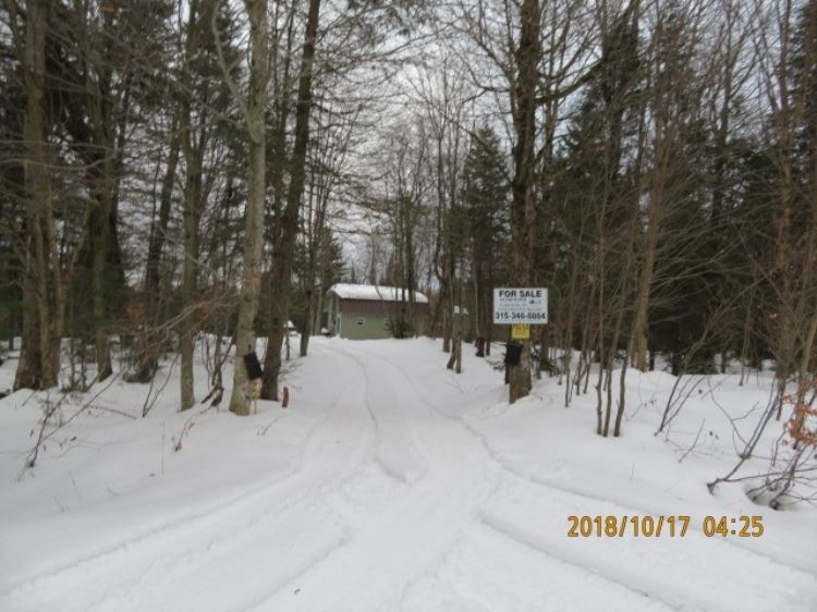 Tug Hill Cabin And Private Pond Paradise