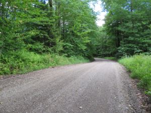 12.15 ACRES LOCATED IN THE HEART OF SOME OF THE BEST TUG HILL ATV & SNOWMOBILING TRAILS <br>SOLD!<br>12.15 Acres<br>Lewis, NY<br>$29,900.00<br>