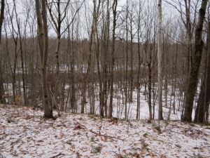 MAGNIFICENT ADIRONDACK RIVERFRONT
20.4 ACRES PITCAIRN, ST LAWRENCE COUNTY, NY<br> NEW!<br>20.40 Acres<br>Pitcairn, NY<br>$59,900.00<br>