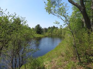 BREATHTAKING ADIRONDACK RIVER FRONTAGE
14.10 ACRES EDWARDS, ST LAWRENCE COUNTY, NY<br>SOLD!<br>14.10 Acres<br>Edwards, NY<br>$79,900.00<br>