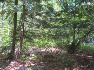 MAGNIFICENT SOUTHEASTERN ADIRONDACKS
27.3 ACRES BLEECKER, FULTON COUNTY, NY<br>27.30 Acres<br>Bleecker, NY<br>$109,000.00<br>