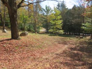 HORSE LOVERS DREAM COME TRUE
SNOWMOBILE AND ATV ENTHUSIAST
4.32 ACRES GREIG, LEWIS COUNTY, NY<br>SOLD!<br>4.32 Acres<br>GREIG, NY<br>$49,900.00<br>