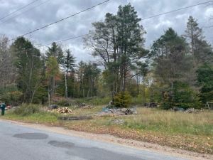 OUTDOOR ENTHUSIASTS
1.7 ACRES LYONSDALE, LEWIS COUNTY, NY<br>1.70 Acres<br>Port Leyden, NY<br>$24,900.00<br>