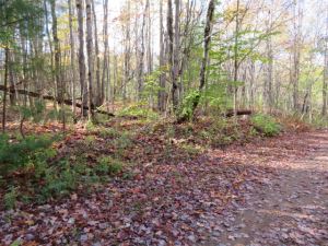 “ADIRONDACK CABIN OR R.V. PROPERTY”
9.61 ACRES DIANA, LEWIS COUNTY, NY<br> NEW!<br>9.61 Acres<br>Natural Bridge, NY<br>$24,900.00<br>