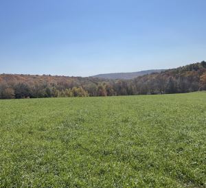 38 +/- ACRES BROOKFIELD, MADISON COUNTY, NY
 <br>38.00 Acres<br>Hubbardsville, NY<br>$84,900.00<br>